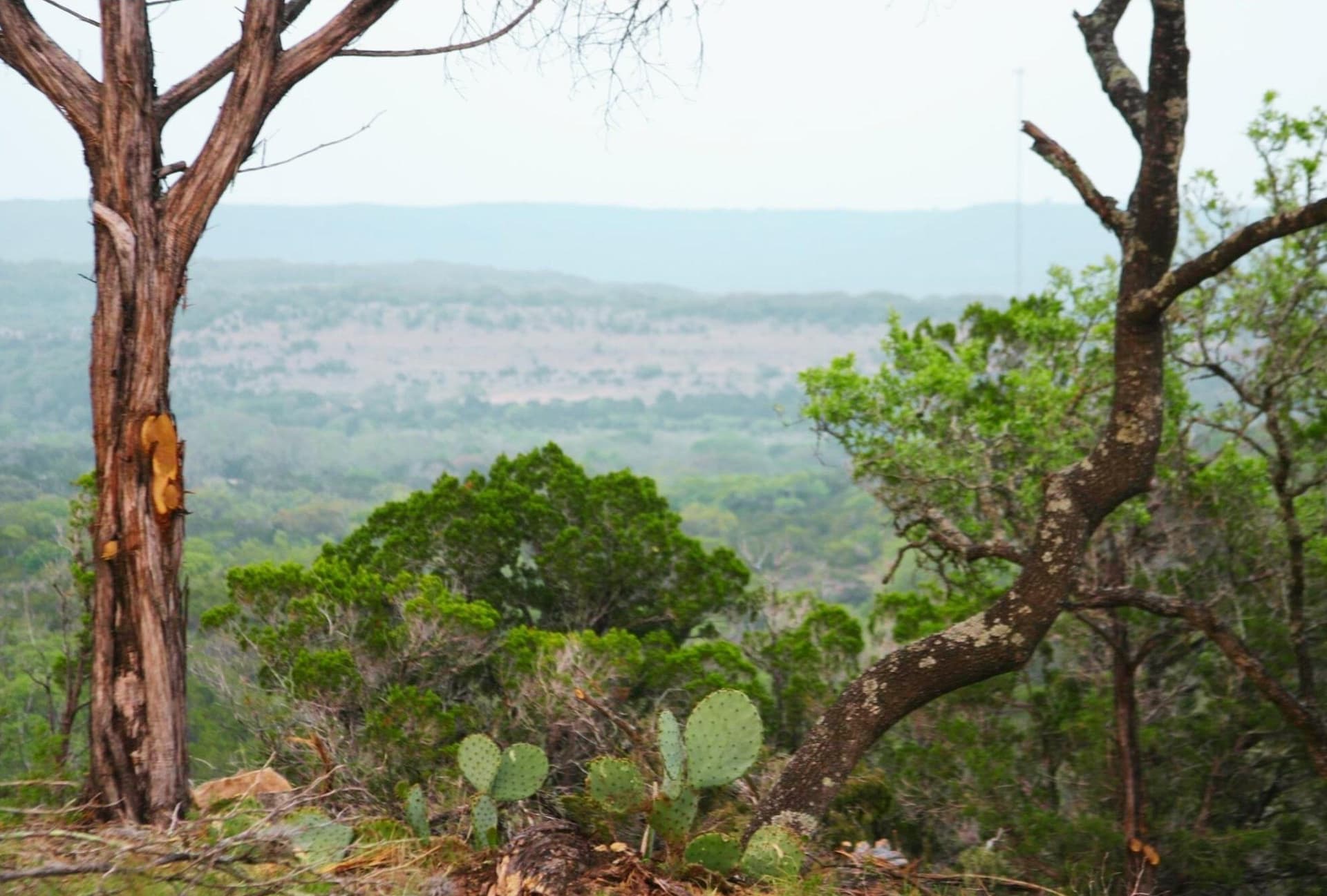 83.08 acres in Travis County - photo 42
