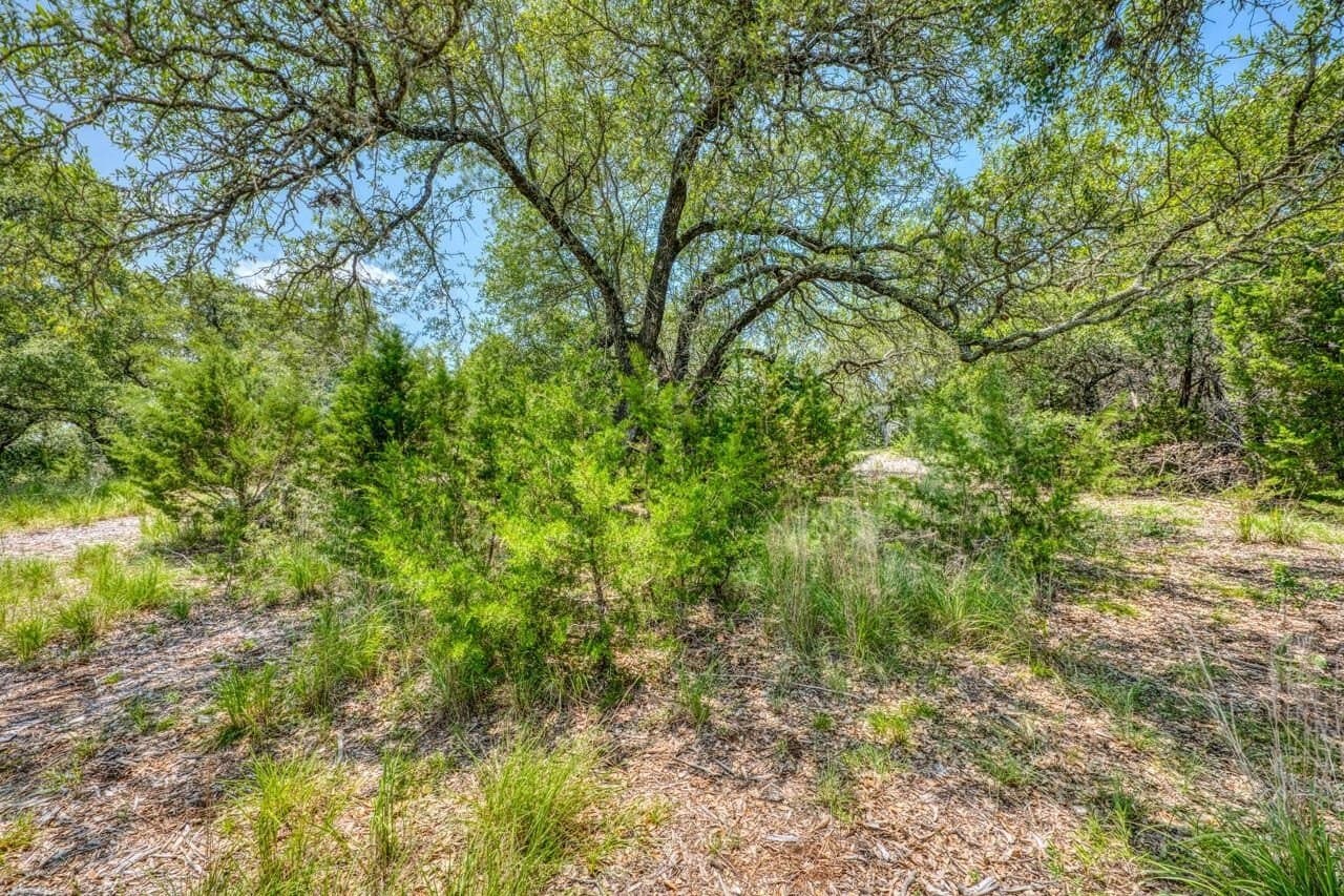 83.08 acres in Travis County - photo 16