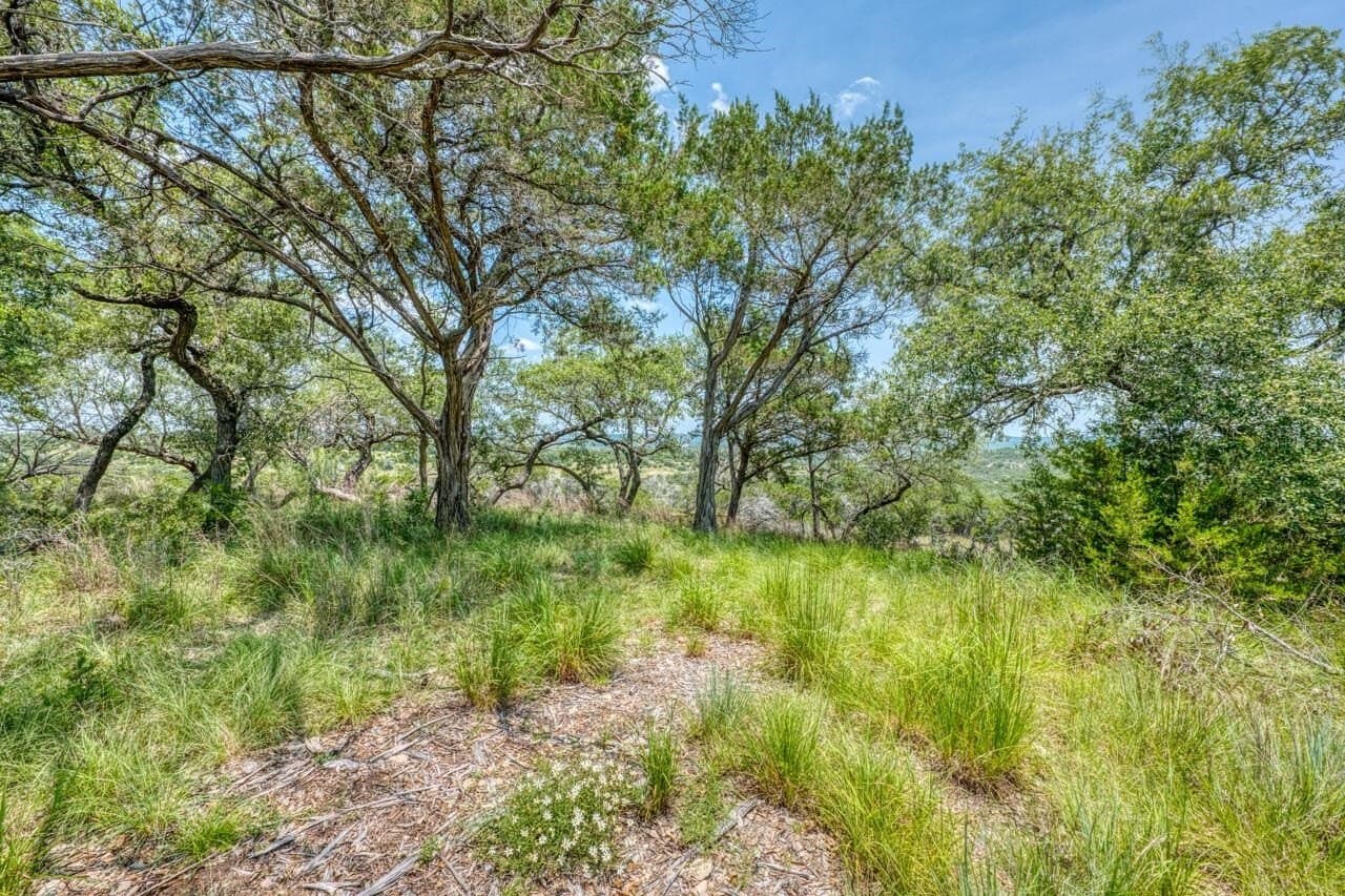 83.08 acres in Travis County - photo 20