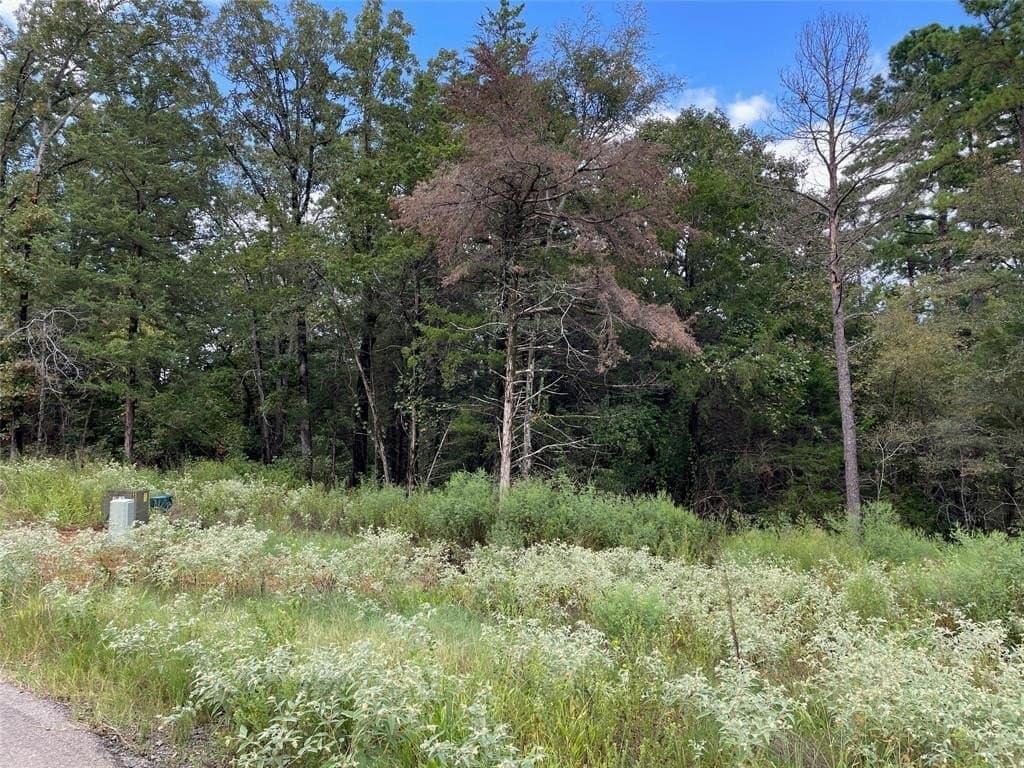 0.67 acres in Smith County