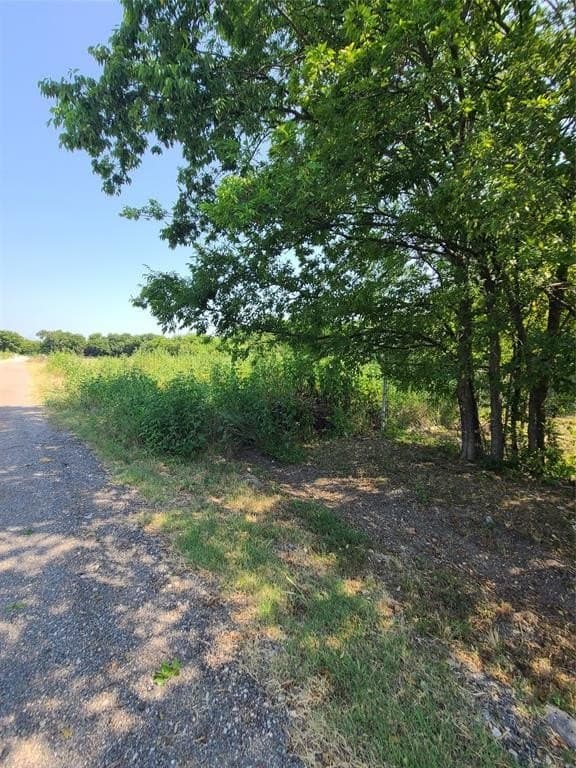 0.26 acres in Dallas County gallery image 3