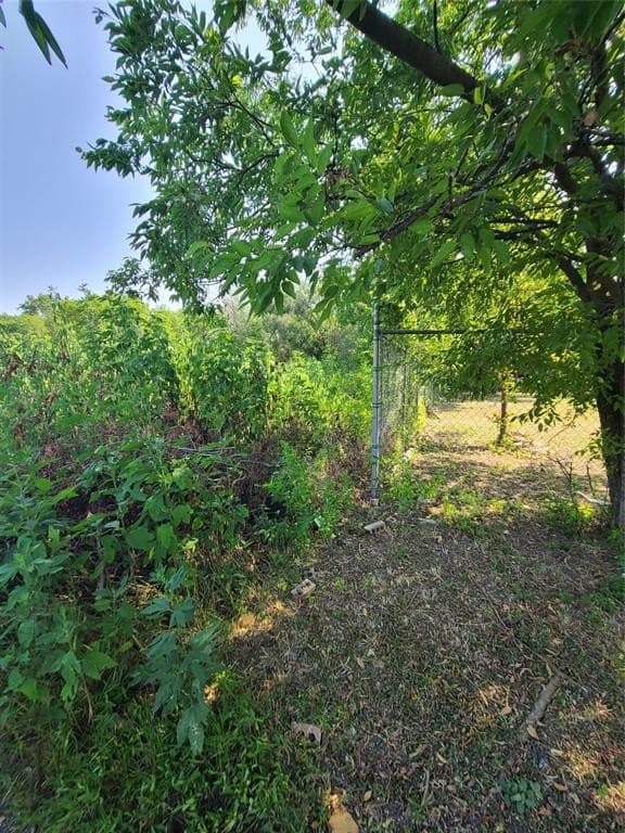 0.26 acres in Dallas County gallery image 2