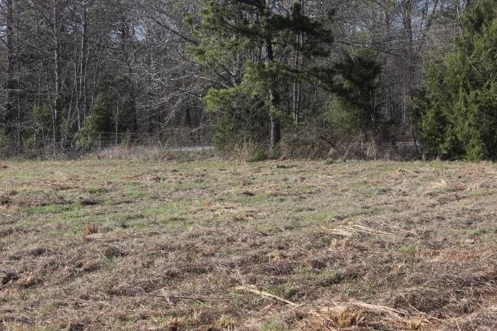 6 acres in Harrison County - photo 10