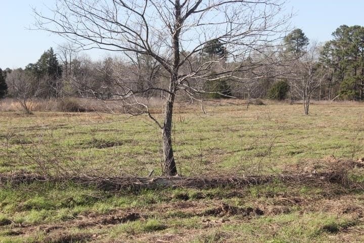 6 acres in Harrison County - photo 8