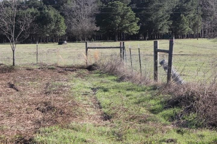 6 acres in Harrison County - photo 3