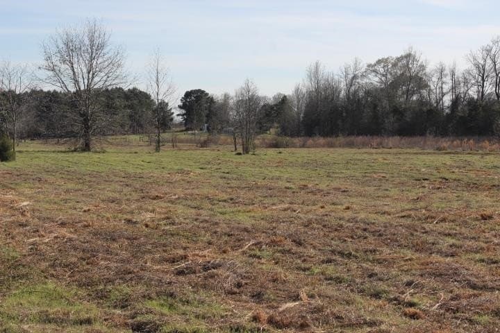 6 acres in Harrison County - photo 2