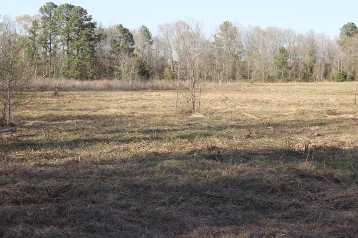 6 acres in Harrison County - photo 17