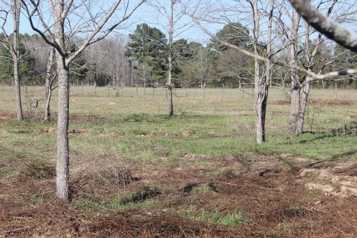 6 acres in Harrison County - photo 6