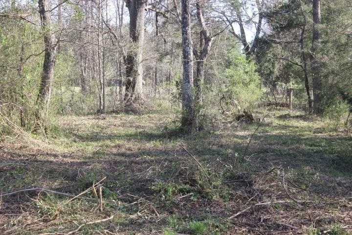 6 acres in Harrison County - photo 16