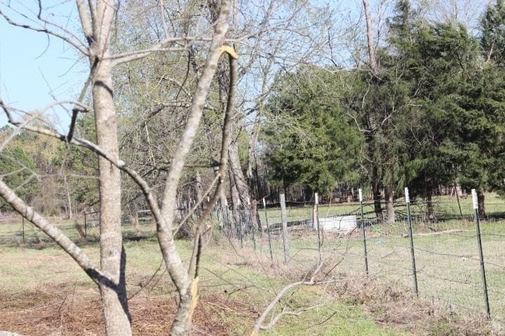 6 acres in Harrison County - photo 4
