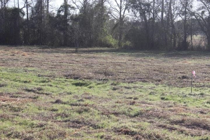 6 acres in Harrison County - photo 22
