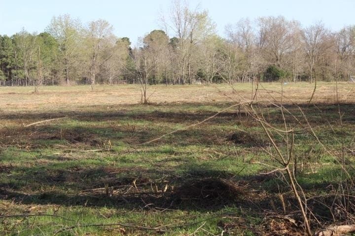6 acres in Harrison County - photo 15
