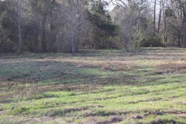 6 acres in Harrison County - photo 19