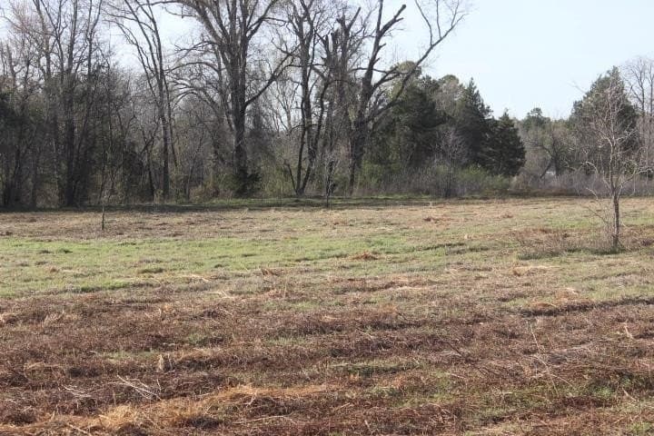 6 acres in Harrison County - photo 21