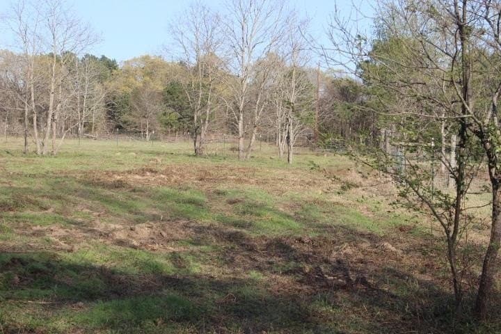 6 acres in Harrison County - photo 18