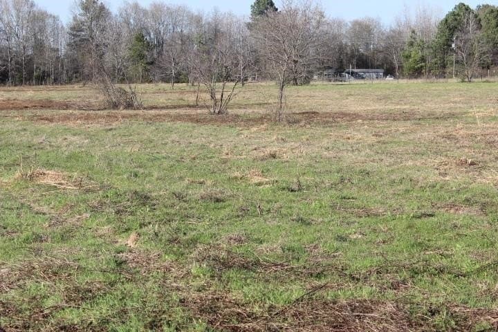 6 acres in Harrison County - photo 20
