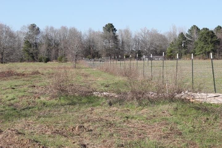 6 acres in Harrison County - photo 7