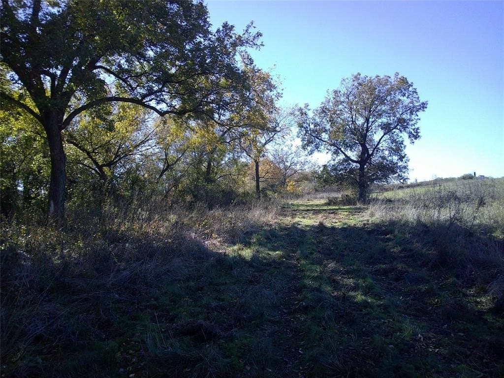 16 acres in Montague County