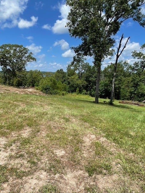 1.91 acres in Texas County gallery image 3
