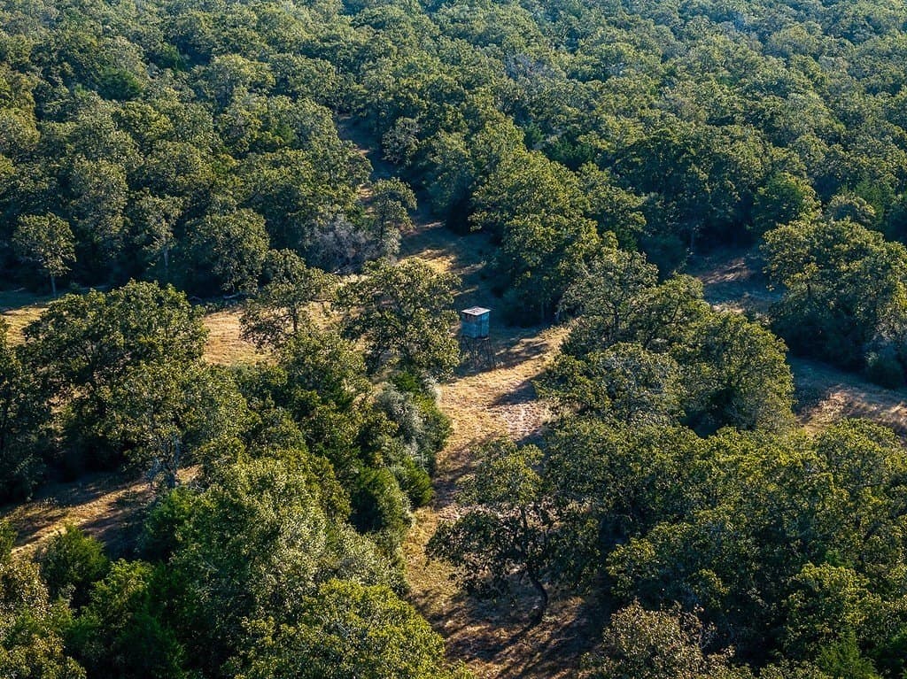 1,051.63 acres in Colorado County - photo 12