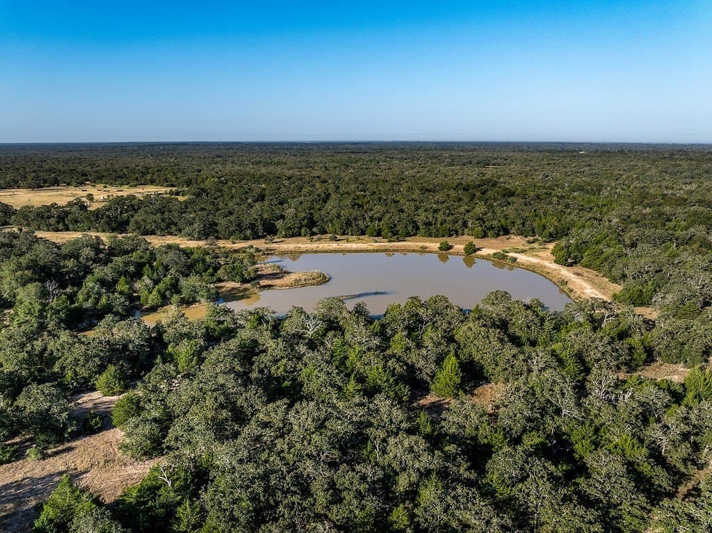 1,051.63 acres in Colorado County gallery image 2