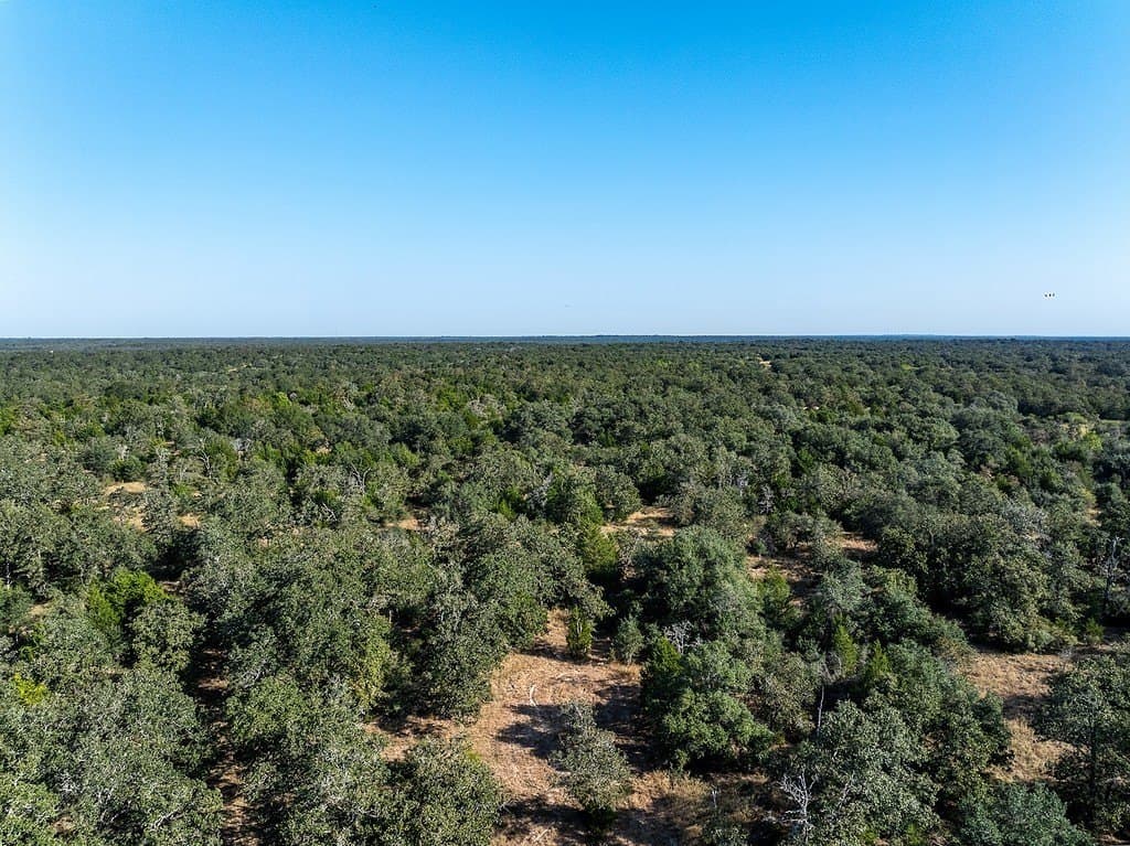 1,051.63 acres in Colorado County - photo 19