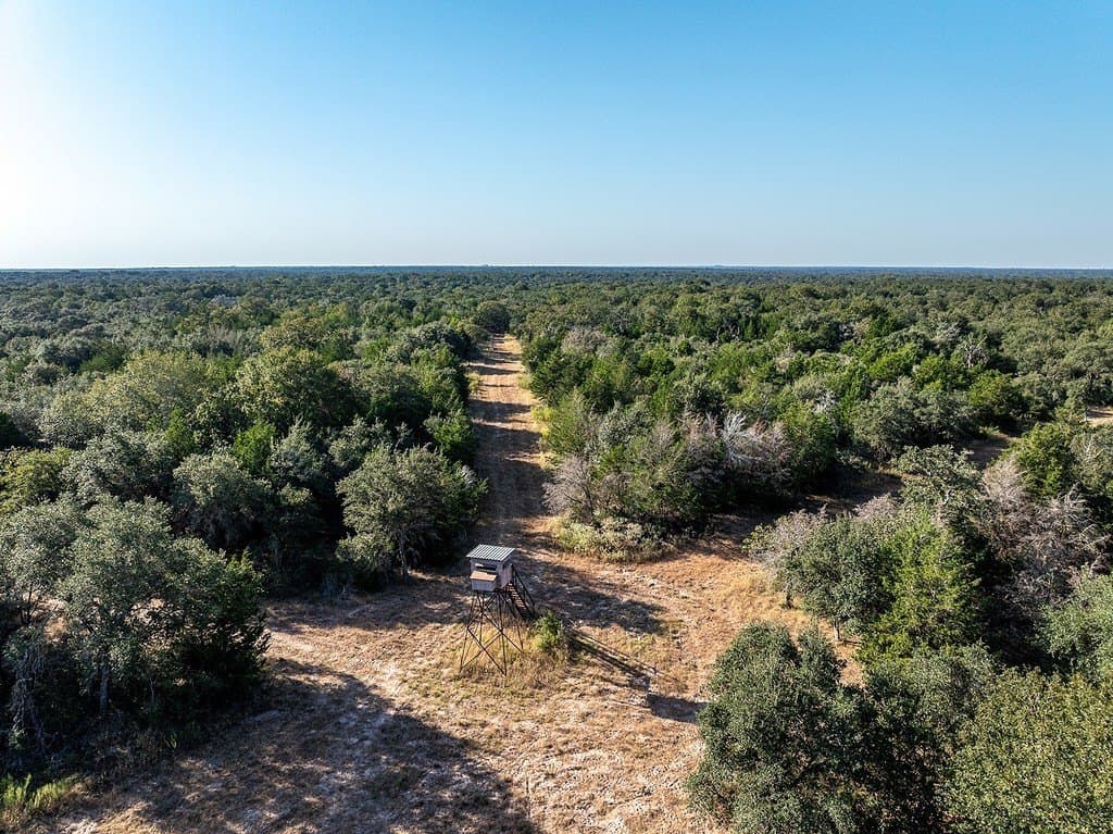 1,051.63 acres in Colorado County - photo 9