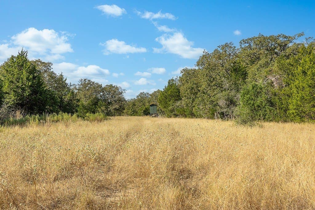 1,051.63 acres in Colorado County - photo 18