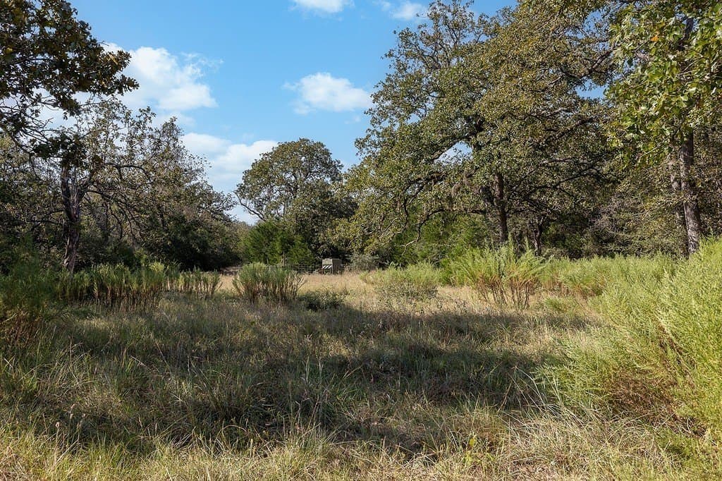 1,051.63 acres in Colorado County - photo 13