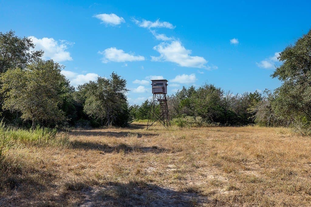 1,051.63 acres in Colorado County featured view