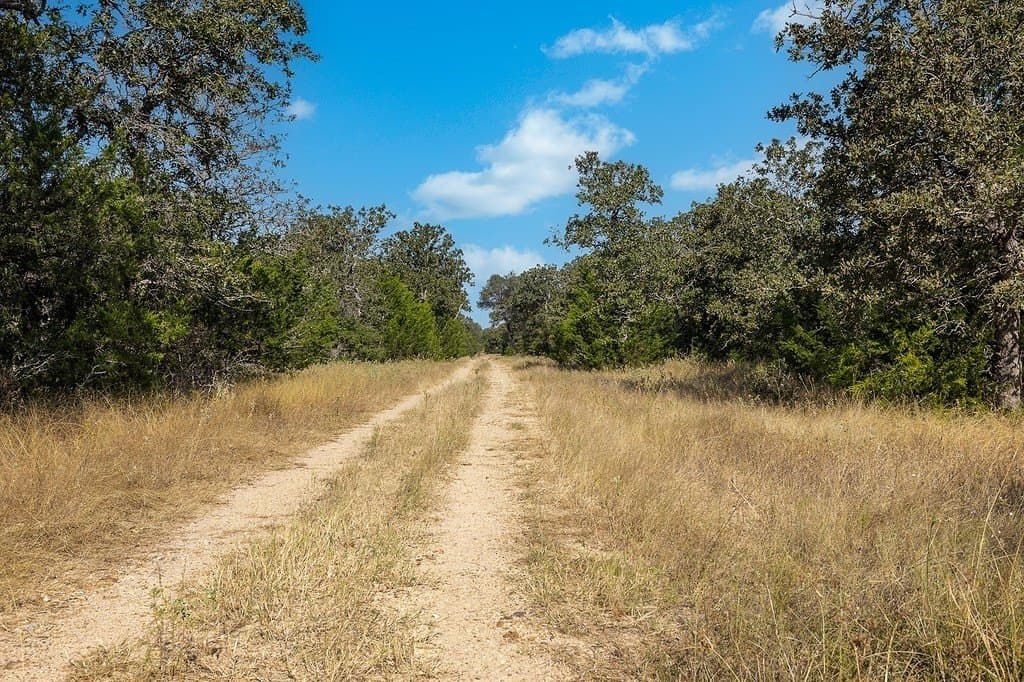 1,051.63 acres in Colorado County - photo 17