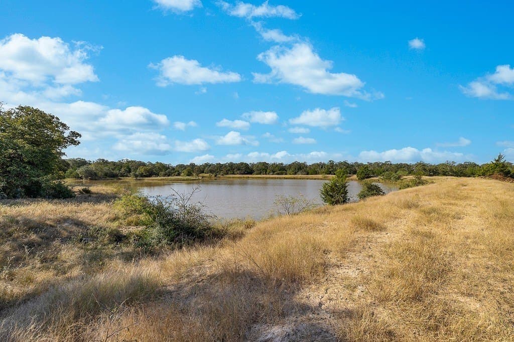 1,051.63 acres in Colorado County gallery image 3