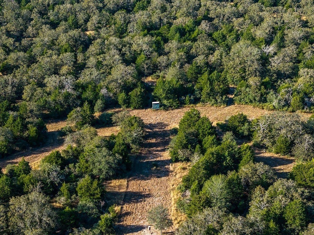 1,051.63 acres in Colorado County gallery image 4