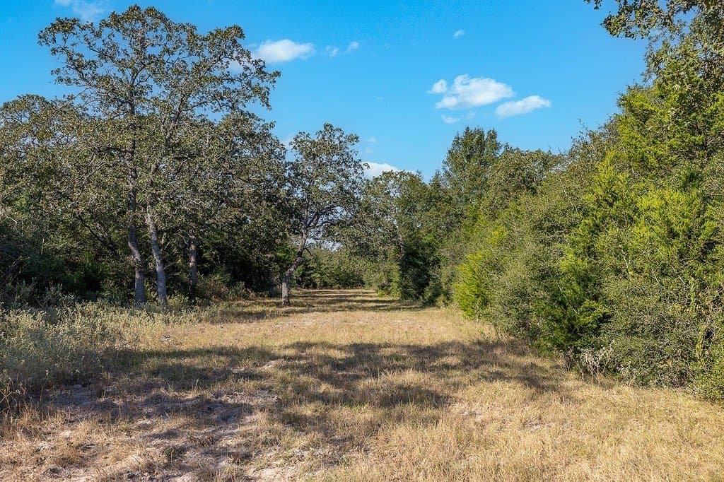 1,051.63 acres in Colorado County - photo 6
