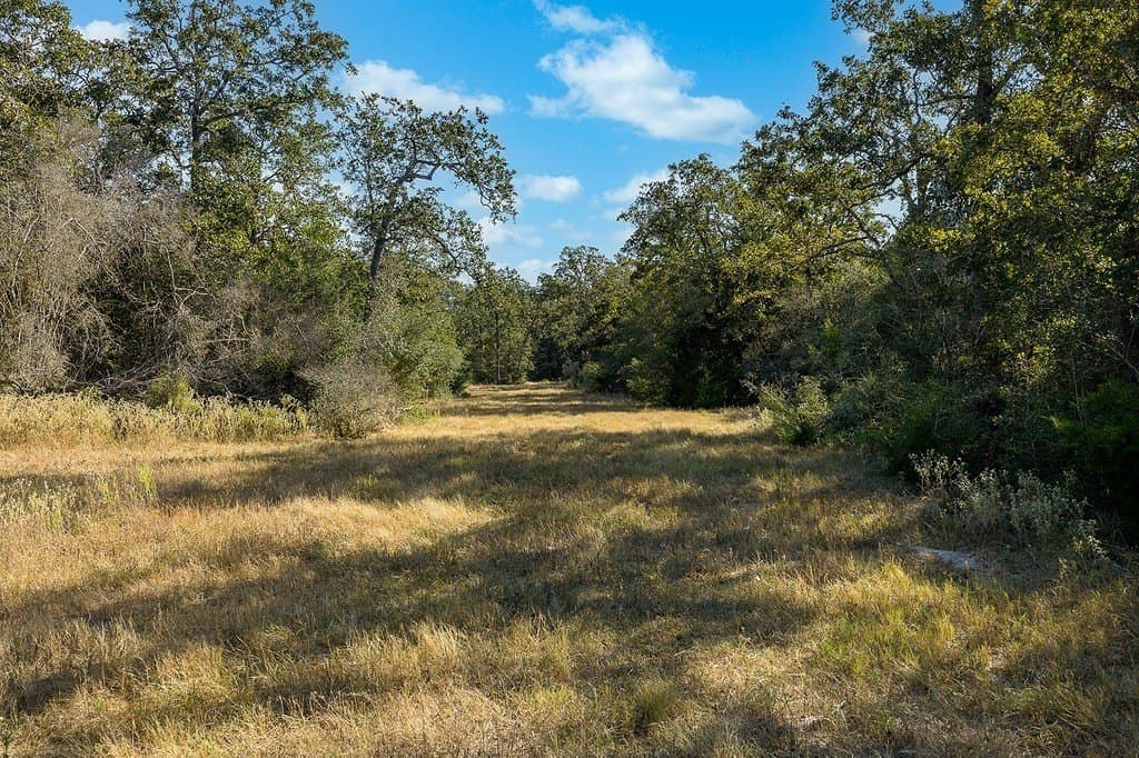 1,051.63 acres in Colorado County - photo 20