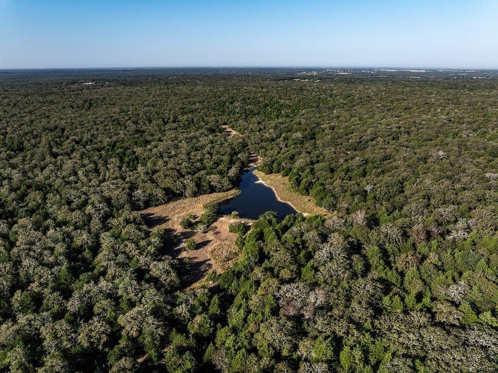 1,051.63 acres in Colorado County - photo 7