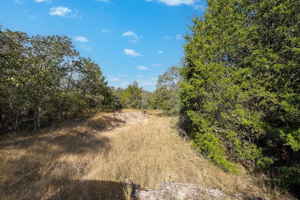 1,051.63 acres in Colorado County - photo 15