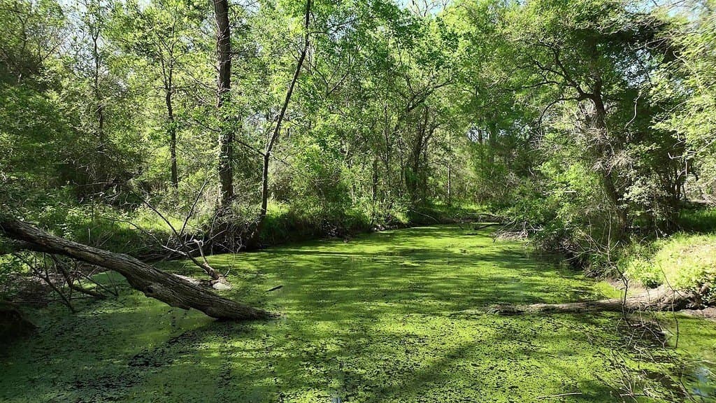 200 acres in Lee County featured view