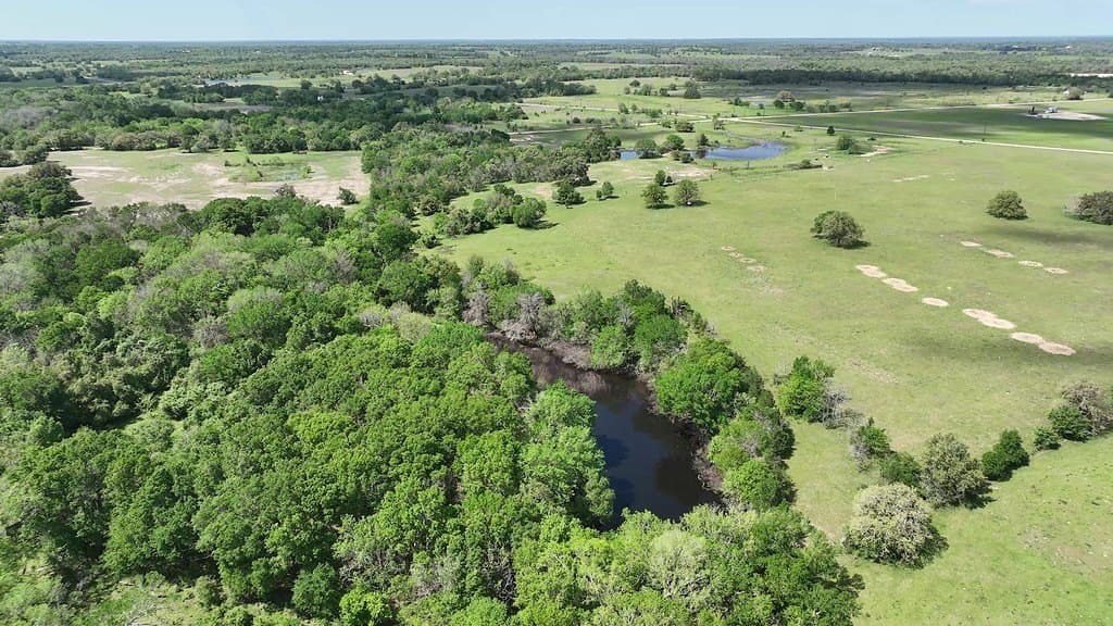 200 acres in Lee County gallery image 4