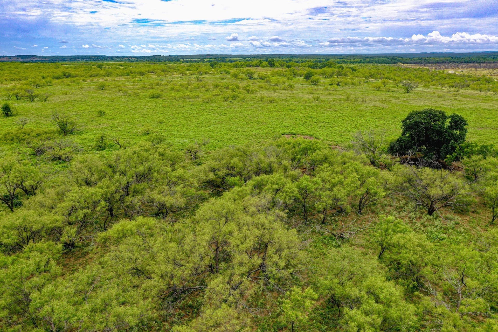 283.19 acres in Jack County - photo 36