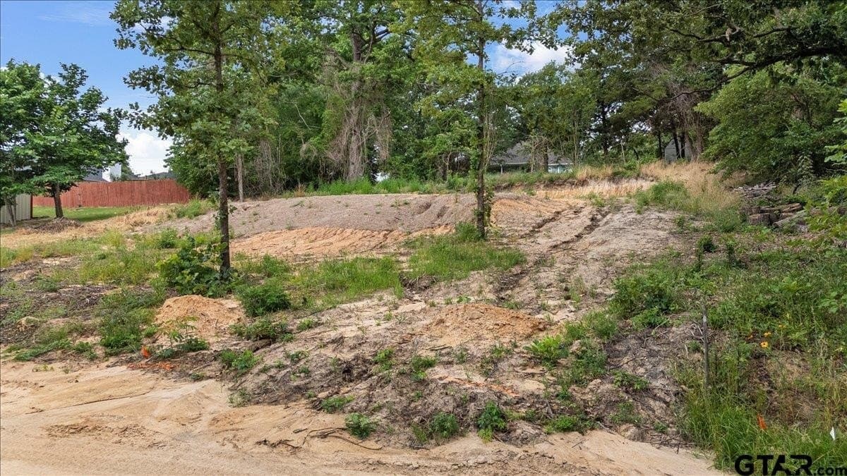 0.24 acres in Wood County gallery image 3