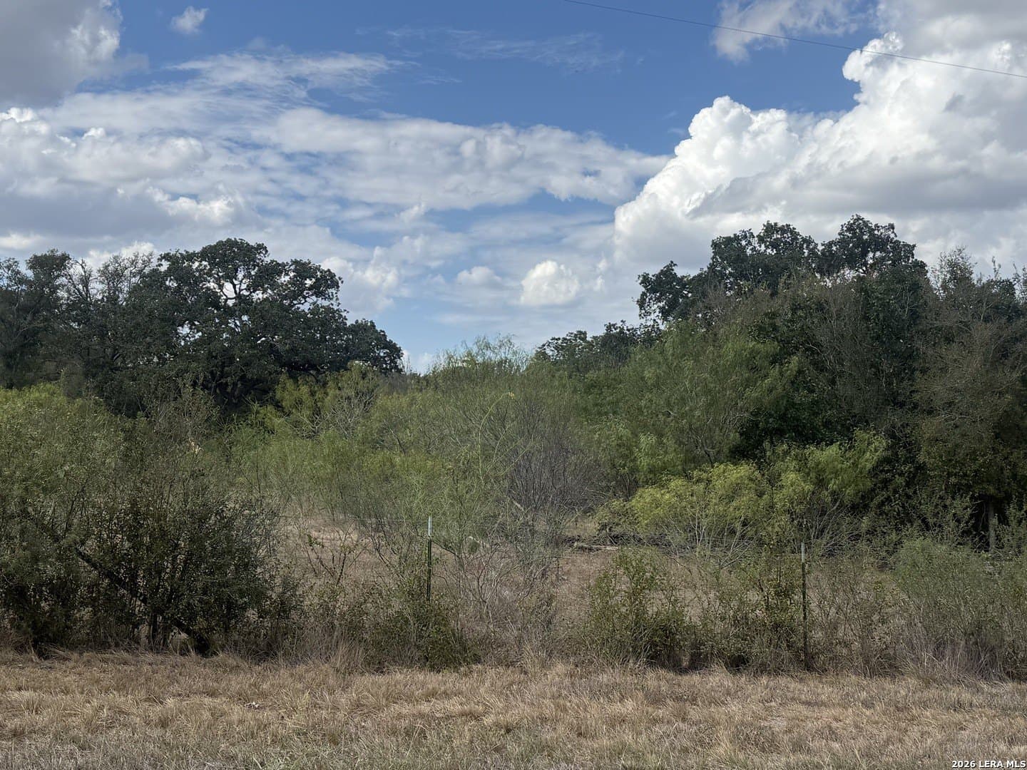 110 acres in Guadalupe County - photo 2