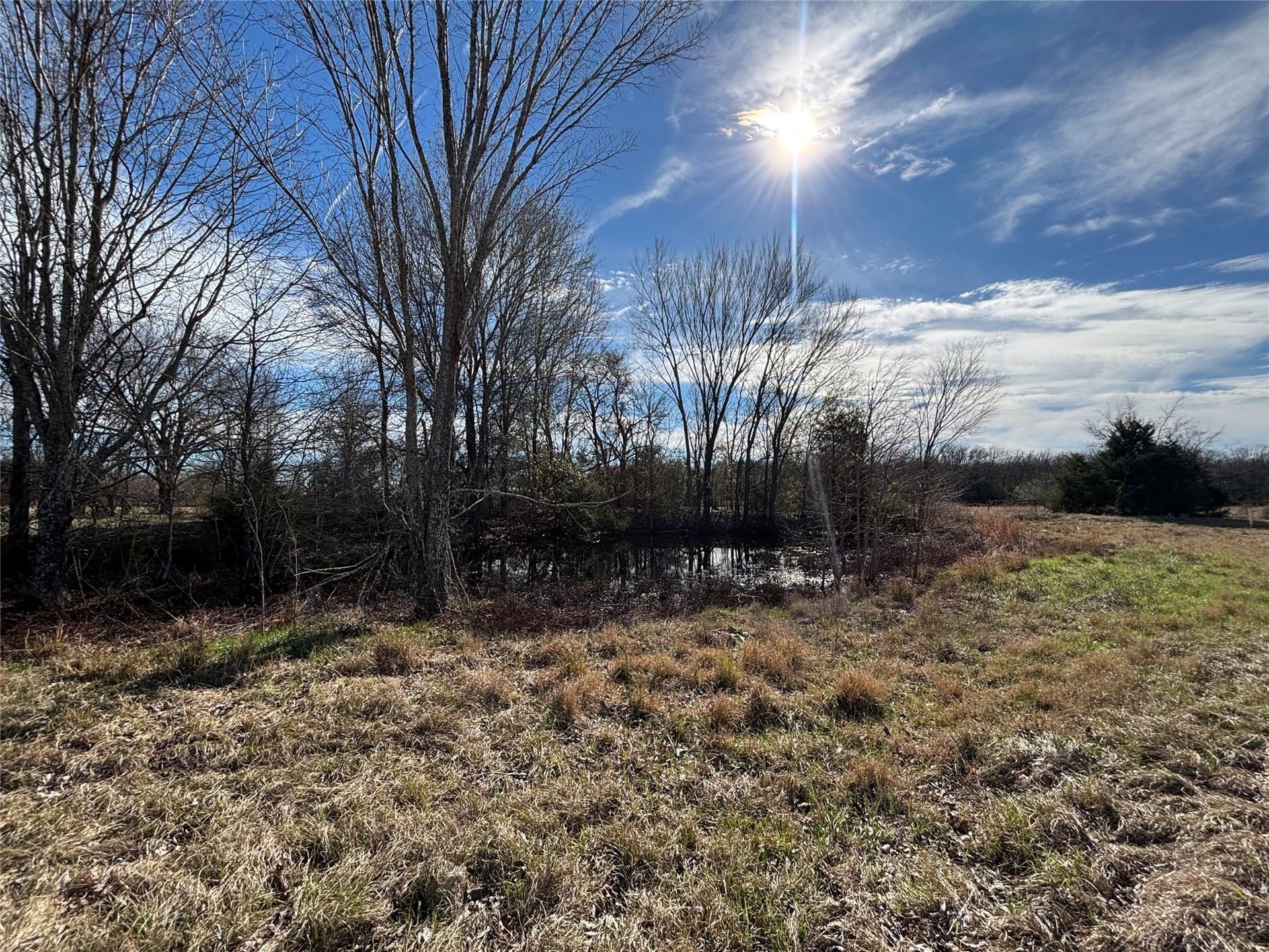 11 acres in Henderson County gallery image 2