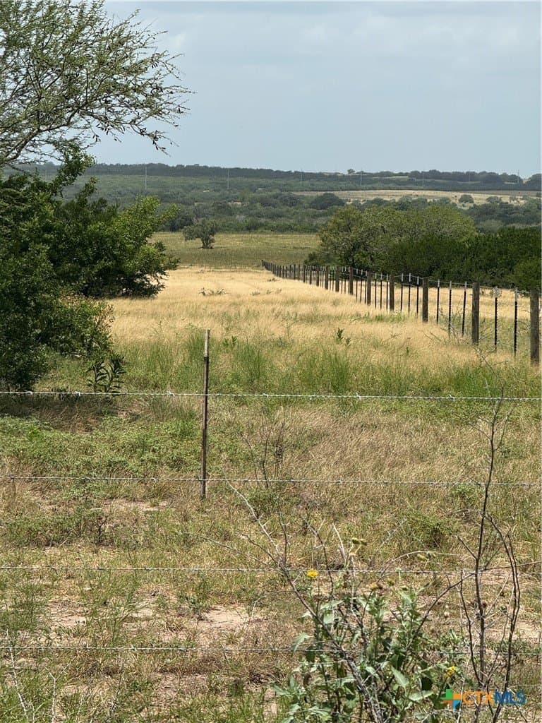 100.72 acres in DeWitt County gallery image 2