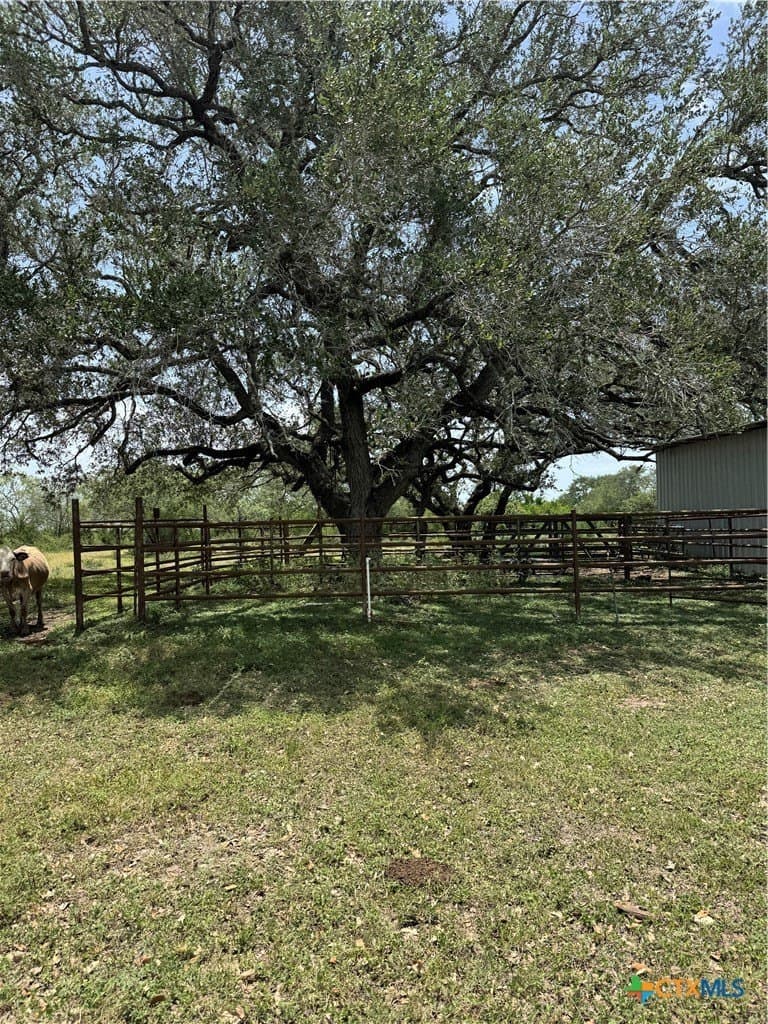 100.72 acres in DeWitt County featured view