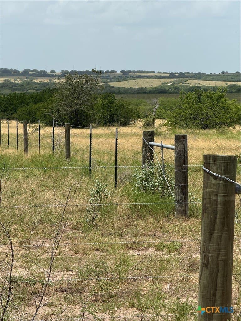 100.72 acres in DeWitt County gallery image 3