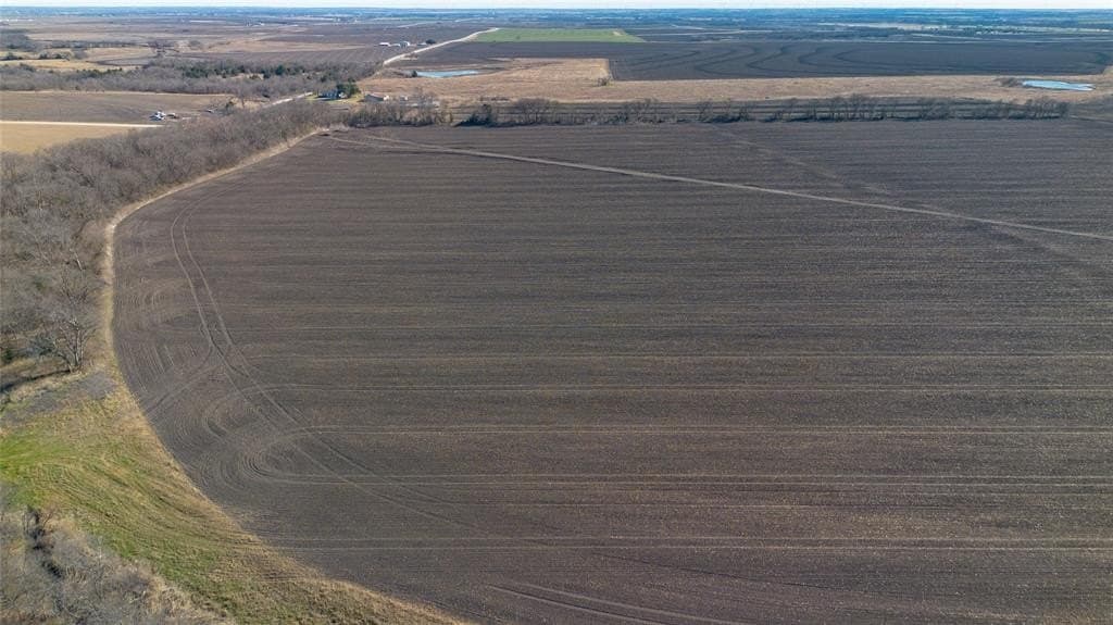 31.16 acres in Hill County gallery image 4