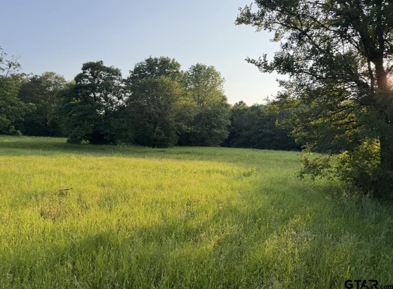 6 acres in Titus County featured view
