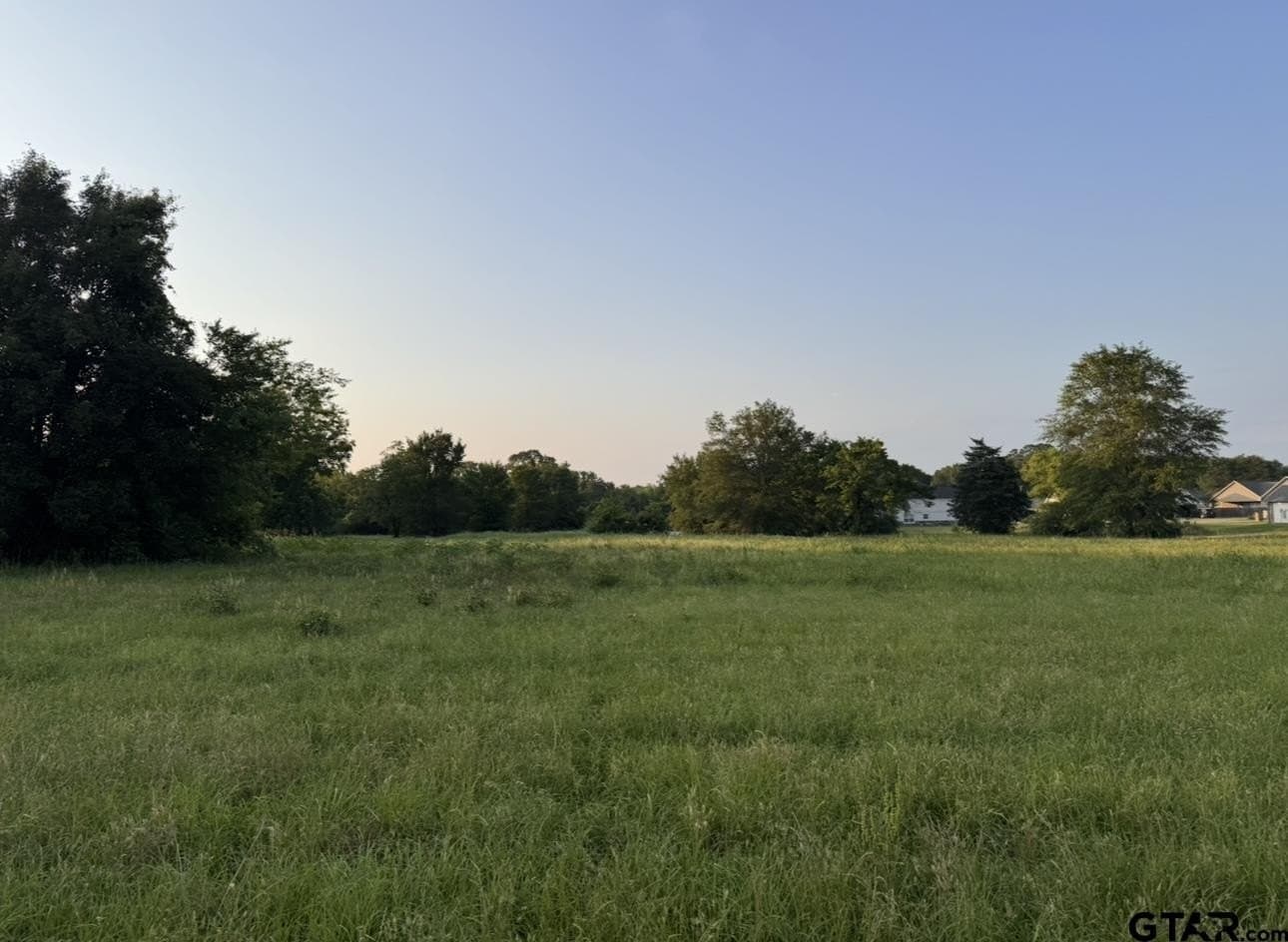 6 acres in Titus County gallery image 2