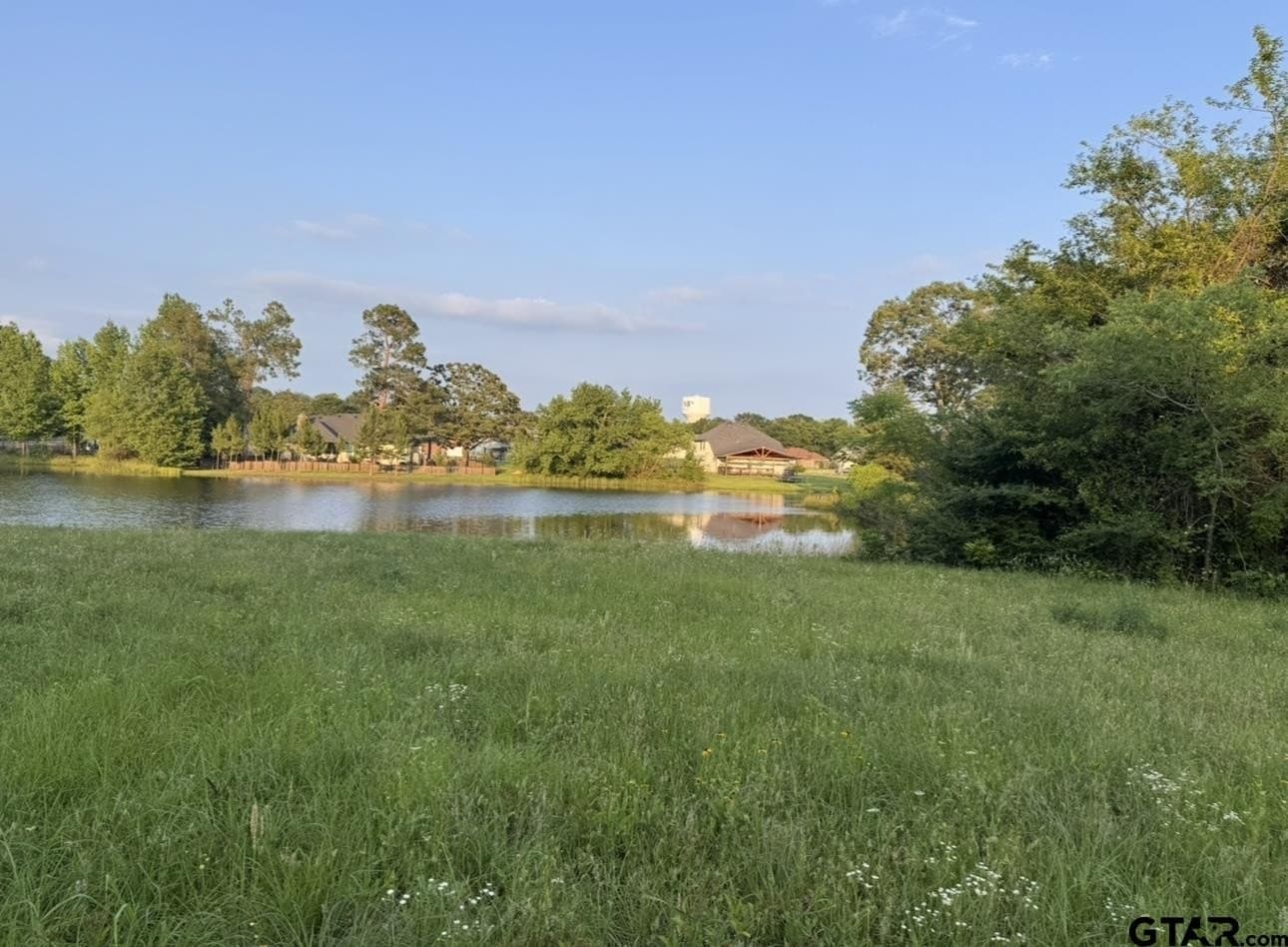 6 acres in Titus County gallery image 3